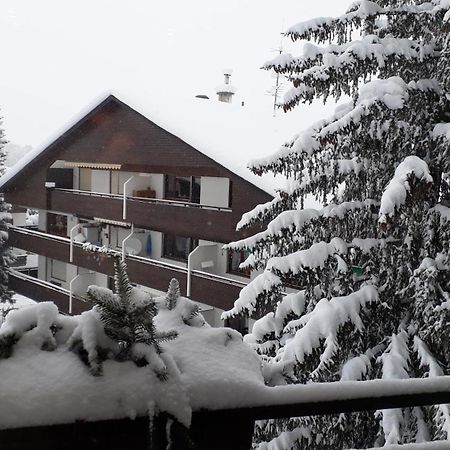 Apartment A'Horn Sankt Johann in Tirol Exterior photo